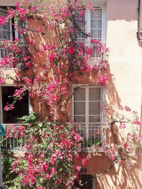 Blue Palm Apartment
